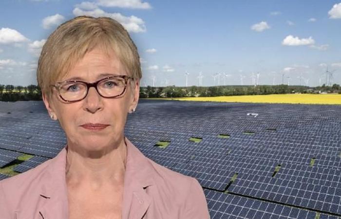 Bills: we have the most expensive in Europe but we hinder photovoltaics. Here’s how | Milena Gabanelli