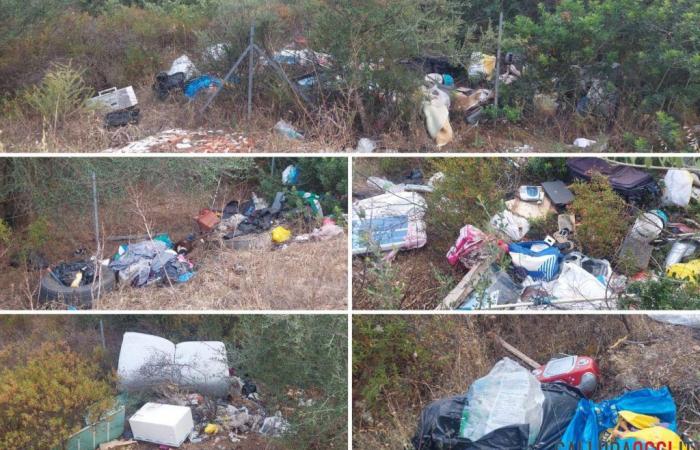 The incivility in Olbia does not spare San Pantaleo, waste on the streets