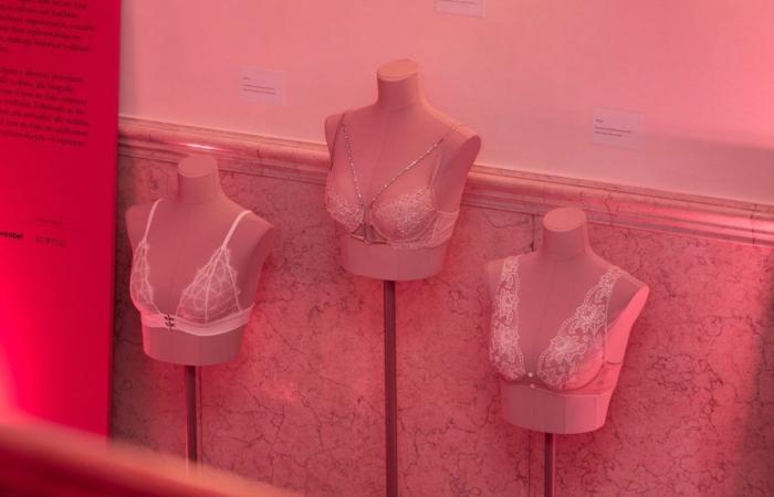 Breasts, the representation of the breast in art. The exhibition in Venice