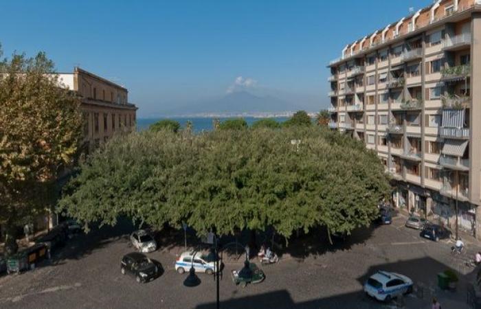 Castellammare, feud in the city centre: 30 years for the murder of Maria to the killer of the dAlessandros – Antonio Ovest and Luigi Vitale convicted