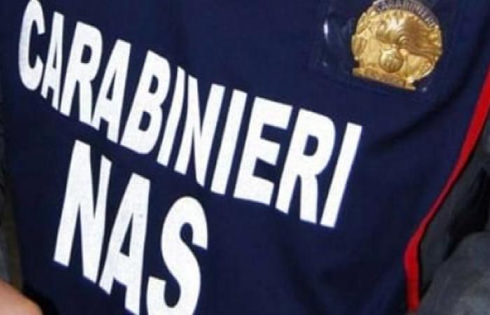 Vigevano, trafficking of anabolics and drugs to athletes: two under investigation