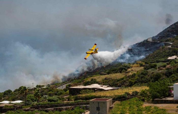 Dramatic fires in Sicily: in the first six months of 2024 already 1288 fires (509 in 2023)