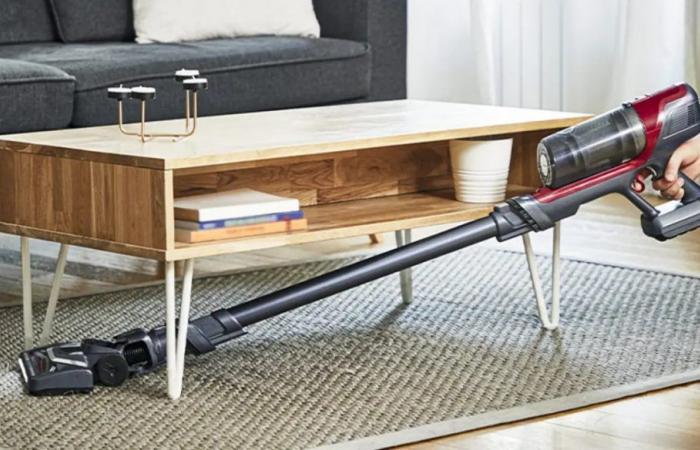 Rowenta, this vacuum cleaner should be bought immediately: the price has skyrocketed