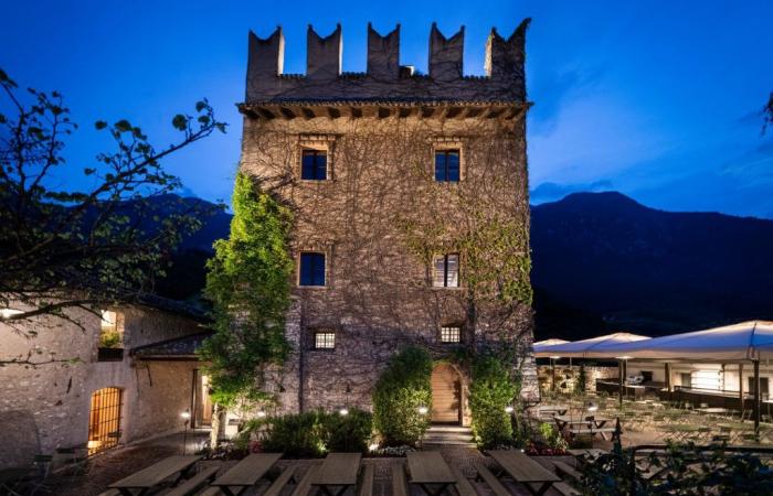 “La Torre”, the new FORST Biergarten” inaugurated in Trento – Agenfood