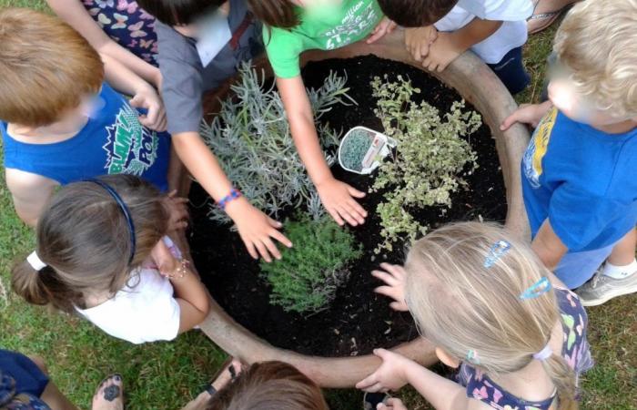 GUIDONIA – “The educational garden inside the school”, the initiative continues
