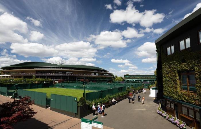 Wimbledon 2024: the day-by-day program and where to watch it on TV and streaming