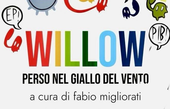 Presentation of the exhibition “Willow: lost in the yellow of the wind”