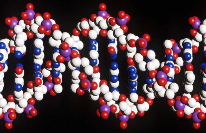 New Technique Discovered to Reprogram DNA