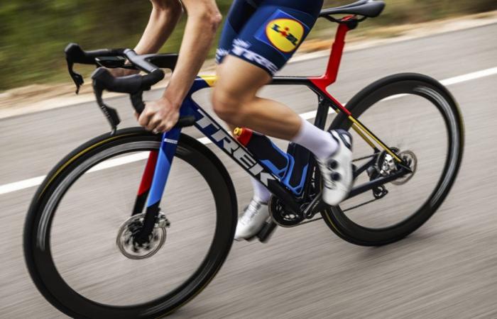 Trek Madone Gen 8: weights and prices of all models