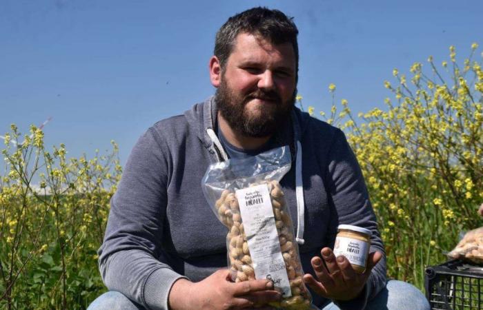 Peanuts in Sicily? Pier Filippo Moalli: “From Senegal I grow them in Fulgatore”