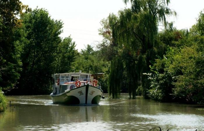 River cruise in Padua from Bassanello to Porte Contarine and toast on board on 29 June 2024