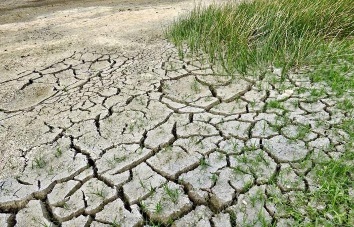 Drought, over 32 million euros destined for Calabria: here are the planned interventions