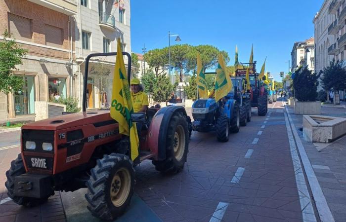 Wild boars: tractors and farmers at the Coldiretti procession in Pescara