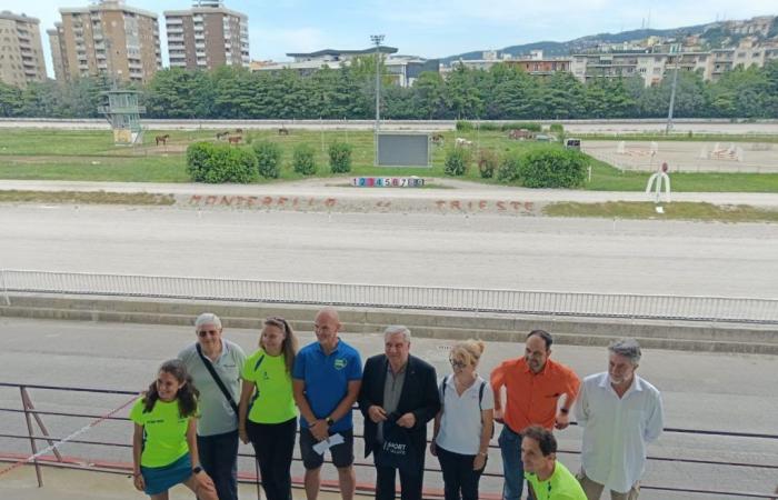 23rd City of Trieste Meeting and Nordic Walking Experience: it’s a super weekend!