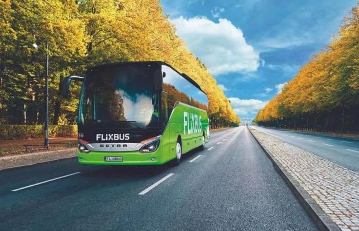 FlixBus strengthens its offer on Novara for the summer: it will be connected to over 80 cities in Italy and abroad