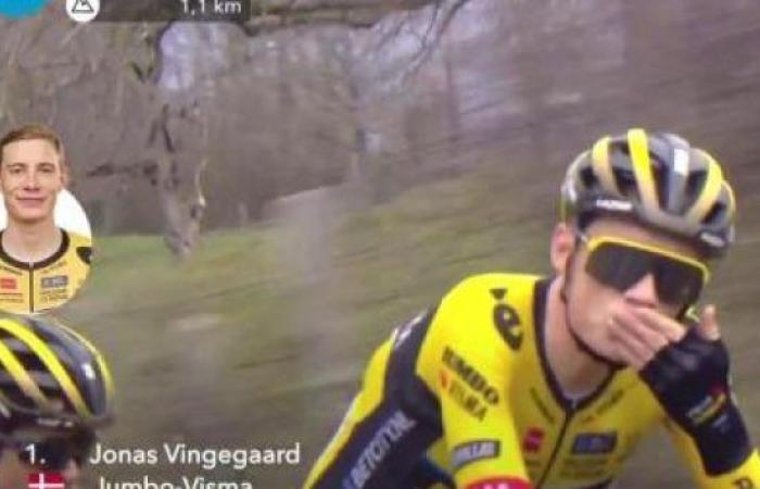 ‘If Vingegaard wins the Tour then I don’t understand anything about cycling anymore’