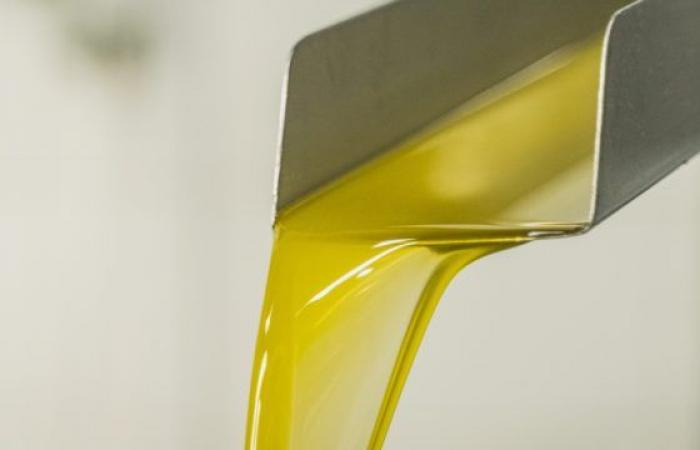 In Piedmont RenOlis has highlighted a 16% increase in exhausted oils and fats