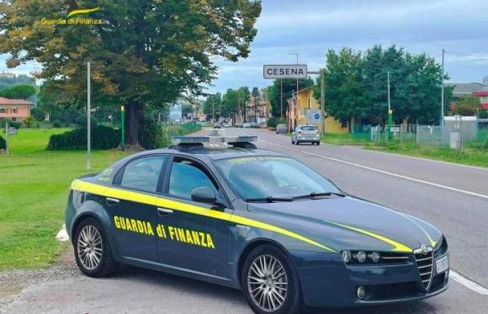 Forlì. The Guardia di Finanza finds 481 irregular workers and 36 total tax evaders