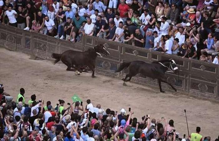 The Palio of Siena is ‘collective cultural identity’ – Viaggiart
