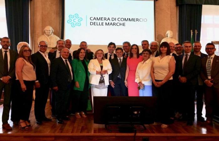 Marche Chamber of Commerce, Gino Sabatini elected president again – picenotime