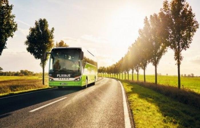 FlixBus Strengthens Offer from Novara for Summer: More Travel Opportunities