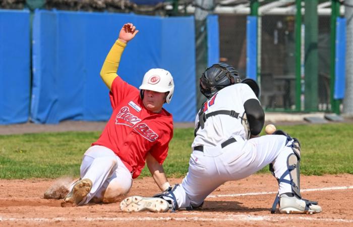 Baseball, in the derby with Junior Parma, safety points are up for grabs for Piacenza