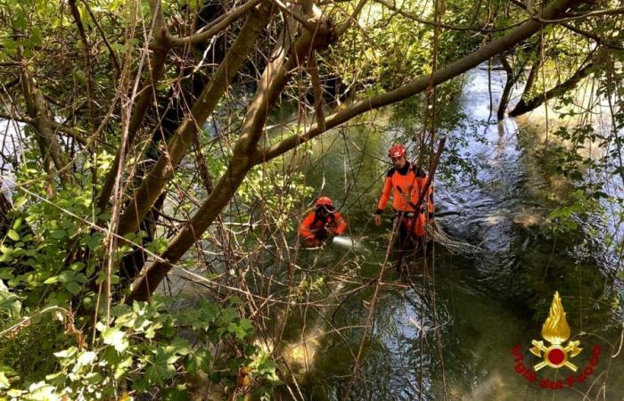 Claudio Togni, the worker who fell into the river while working: the research