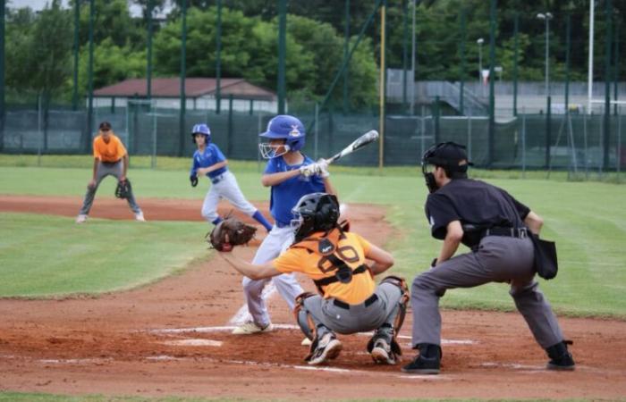 Trento Baseball: What a Week! – The Voice of Trentino