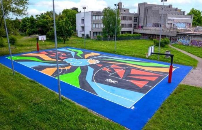 Busto, the Verri basketball court changes face. Colors for “Niko” Sartoni