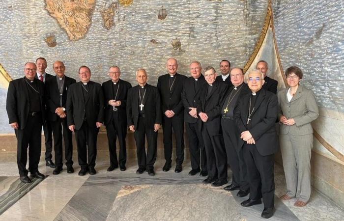 New meeting between the Roman Curia and German bishops in the Vatican: focus on synodality