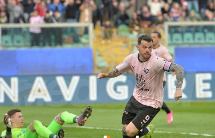 Palermo, La Repubblica: “Brunori a fixed point, but a truce with the fans is needed”