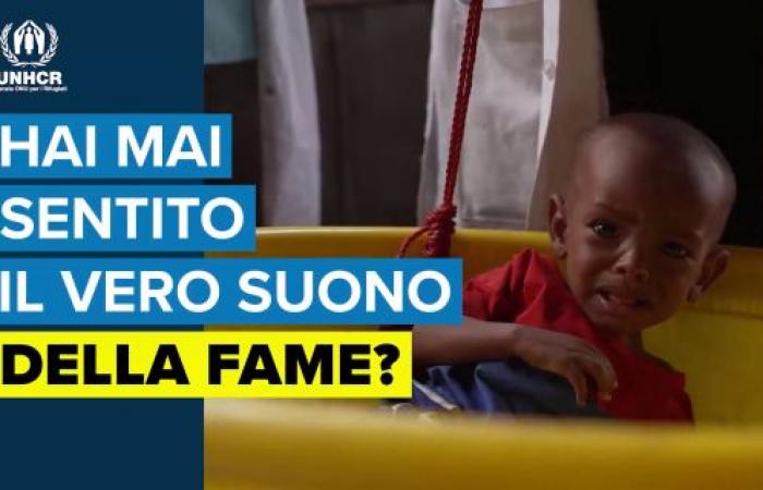 Hunger emergency, the Unchr campaign for the Horn of Africa and Tiziana Panella’s appeal