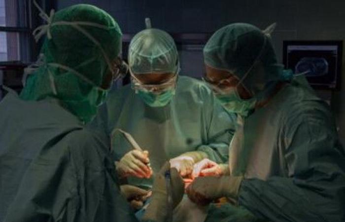 Transplants, Volo: «Organ donations are increasing in Sicily»