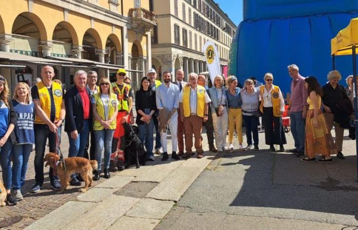 Thanks to Lions Day in Novara, a guide dog was donated to a visually impaired person