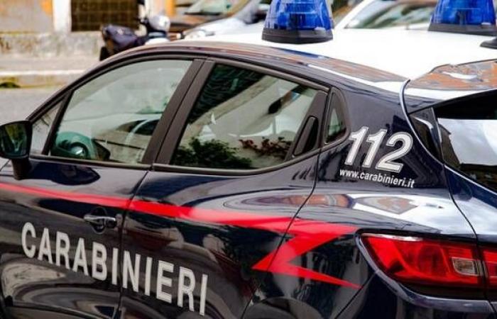 Anzio – Aggravated theft in a commercial business: 28 year old arrested