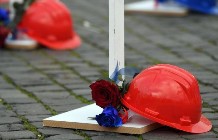 Work, accident reports and fatal cases are growing