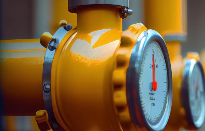 What is missing from the EU Court of Auditors’ report on gas supply