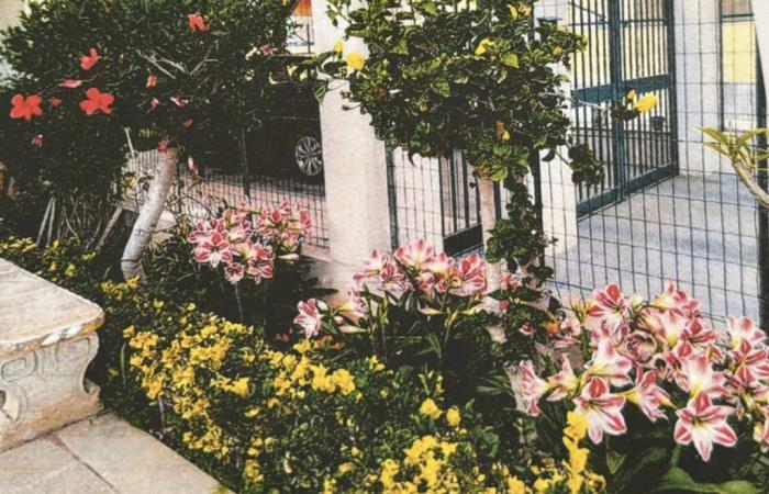 Santa Croce: flowered balconies, winners rewarded