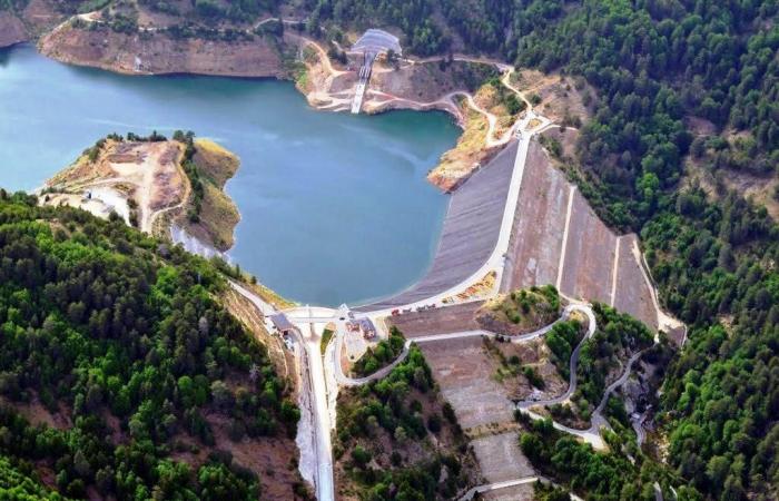 Water shortage in Reggio Calabria, Barreca: ‘It will be a summer of emergencies’