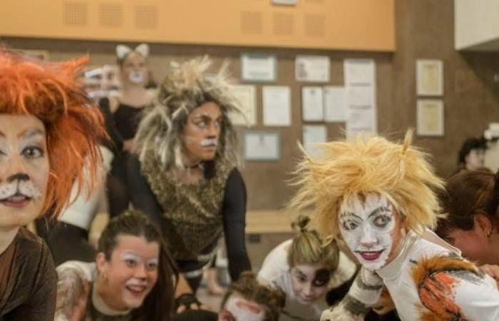 The Musical ‘Cats’ lights up the Brecht Theatre in Perugia