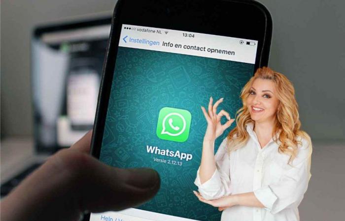 Whatsapp, goodbye delays in sharing important content: the news