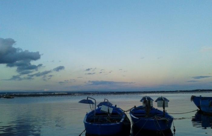 Taranto, No to the Floating Photovoltaic Park in the Mar Piccolo
