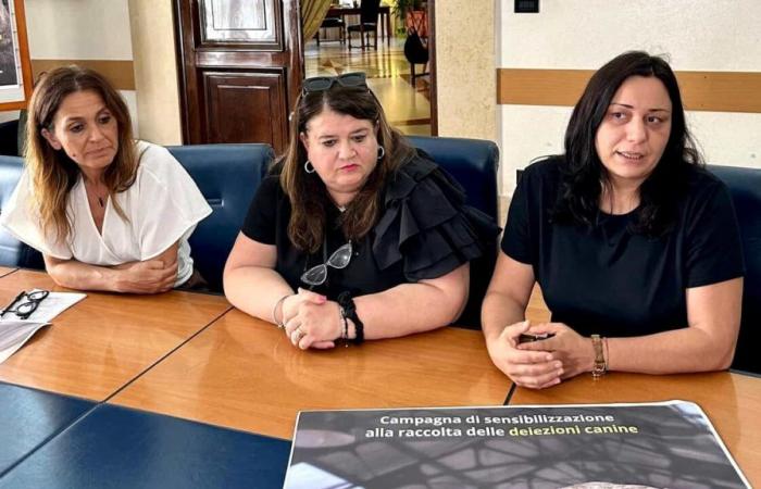 Foggia, awareness campaign presented for dog waste collection