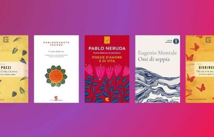 Summer, 5 Poetry Books to Read to Celebrate Life