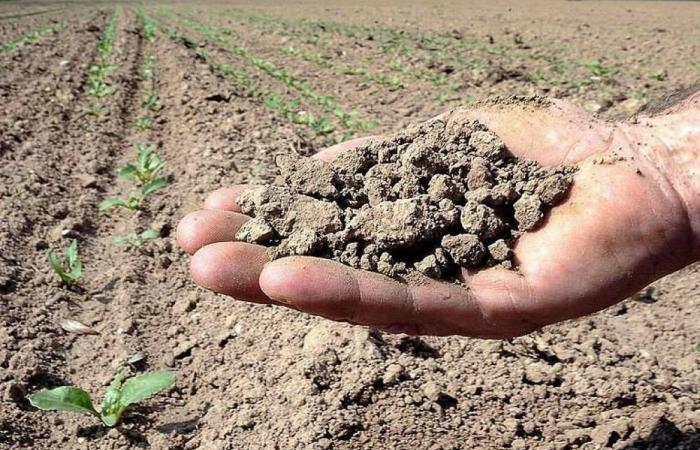 Fight against drought, over 32 million euros to Calabria