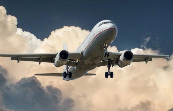 Dear flights, eco-sustainability makes ticket prices skyrocket