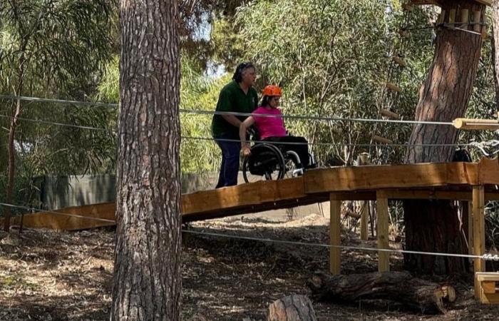 Catania, the accessible tree park on the sea opens