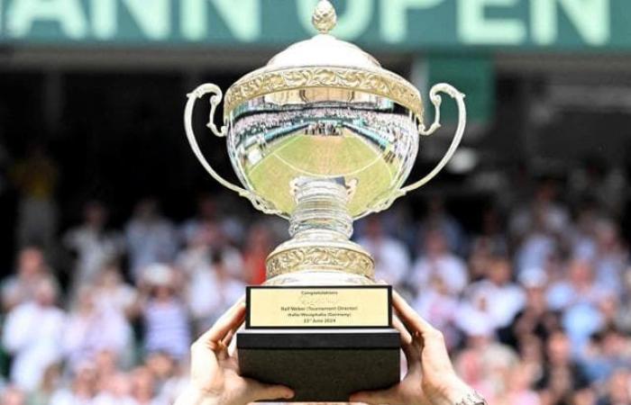 Wimbledon 2024 draw: Sinner vs Berrettini in the second round