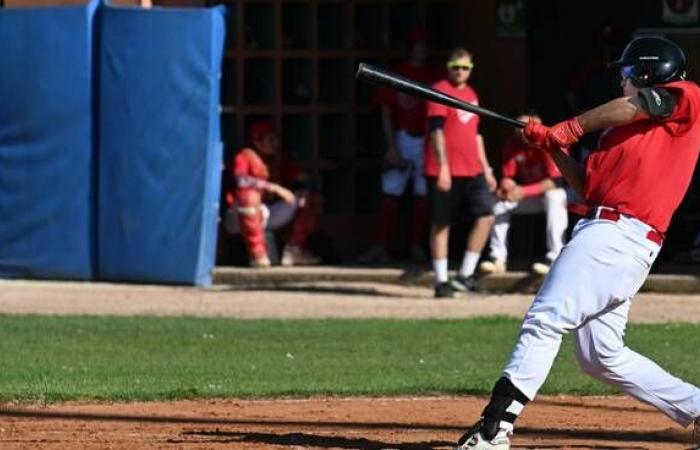 Piacenza Baseball, safety points up for grabs in the derby with Junior
