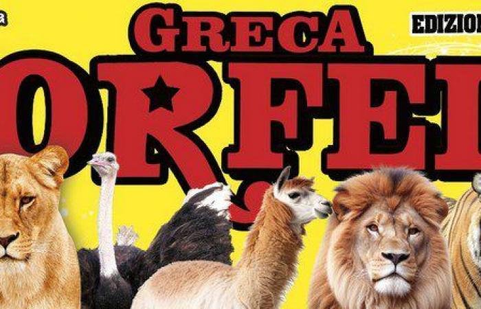 THE GRECA ORFEI CIRCUS STARTS AGAIN FROM VARESE